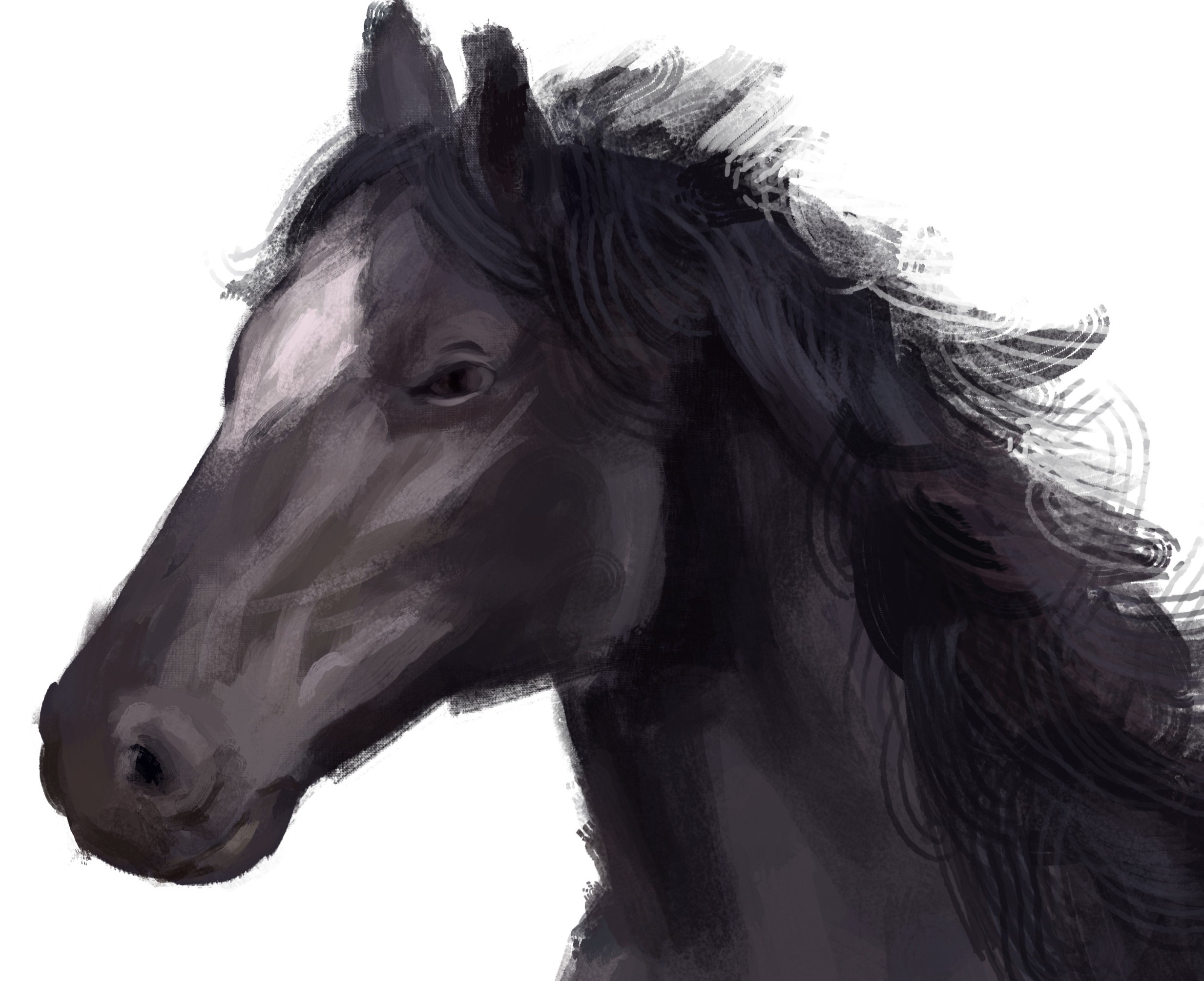 Painted black horse episode artwork